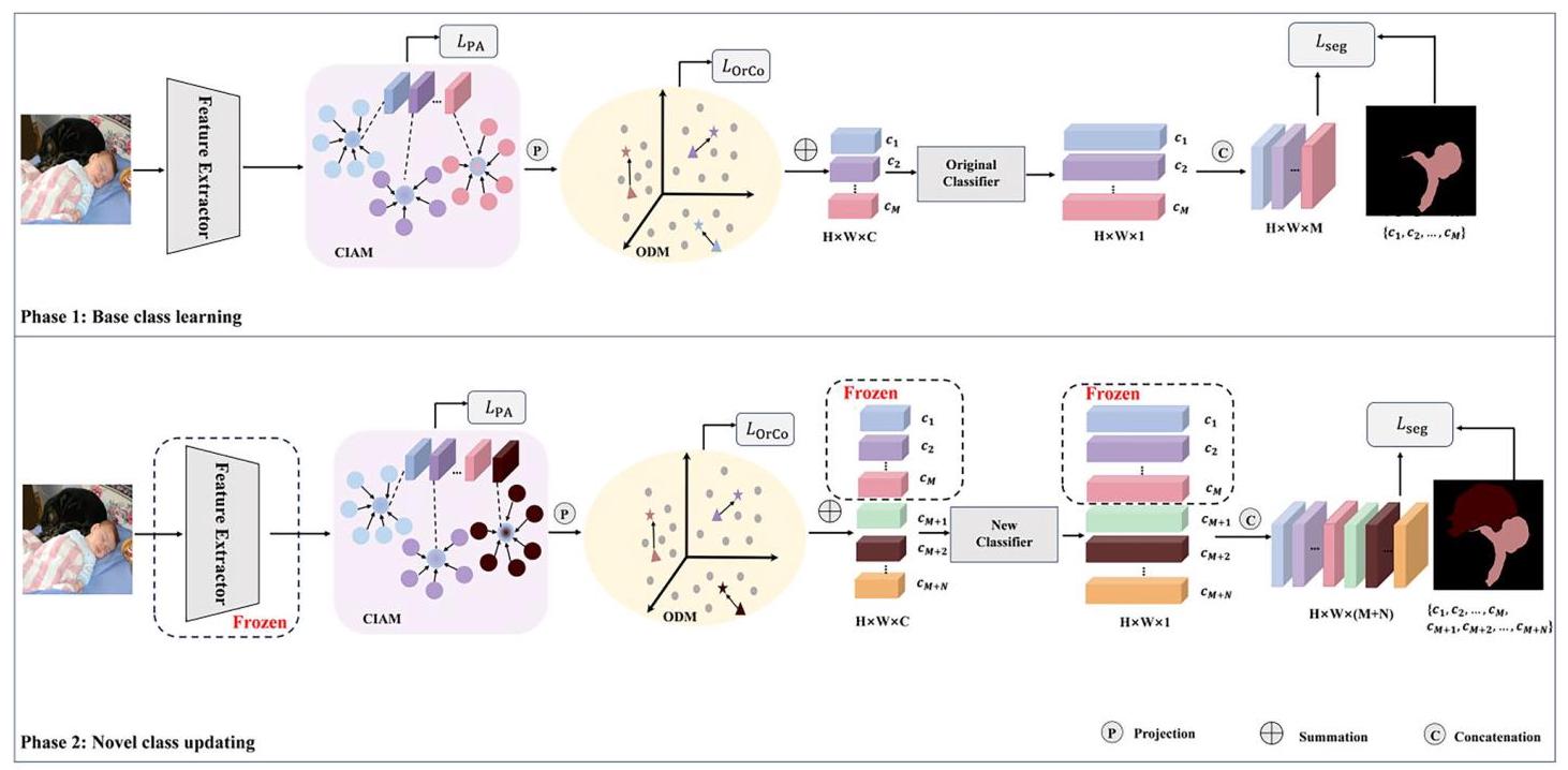 Fig. 1 Contrastive learning and orthogonal decoupling-based generalized few-shot semantic segmentation model