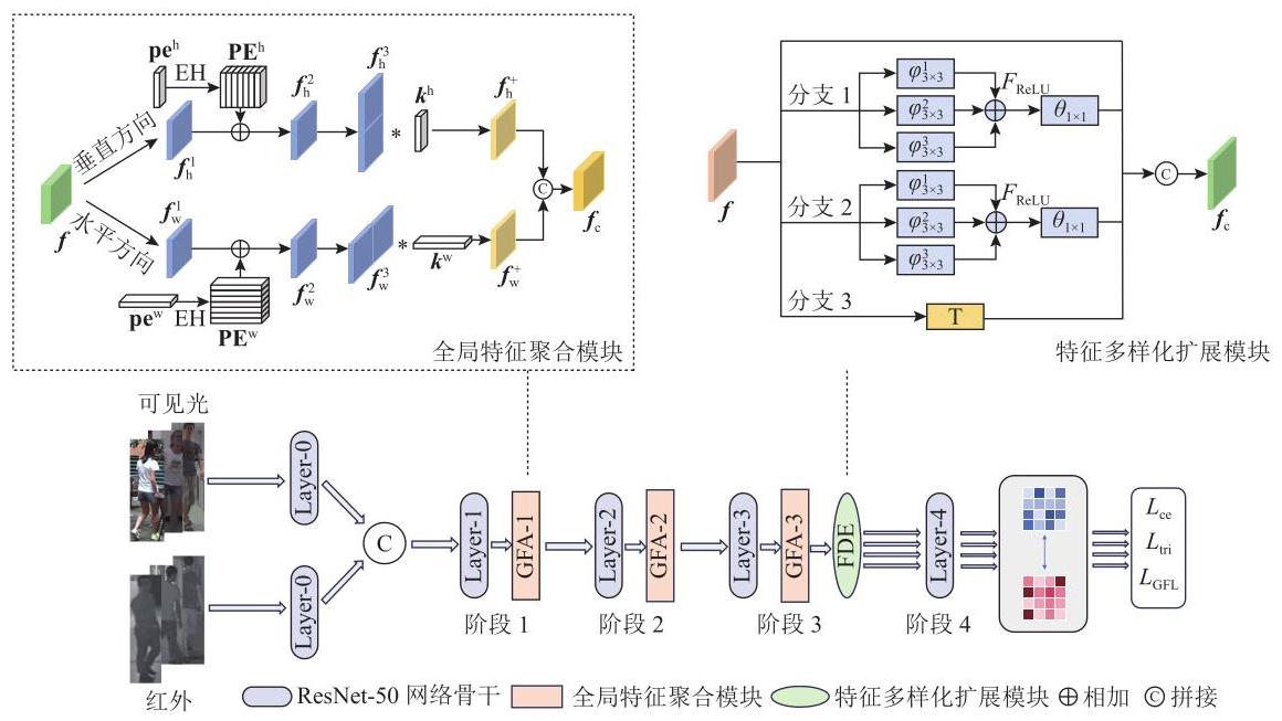 GLE网络整体架构:双流ResNet-50主干 + GFA模块(1-3阶段) + FDE模块(3阶段) + GFL损失